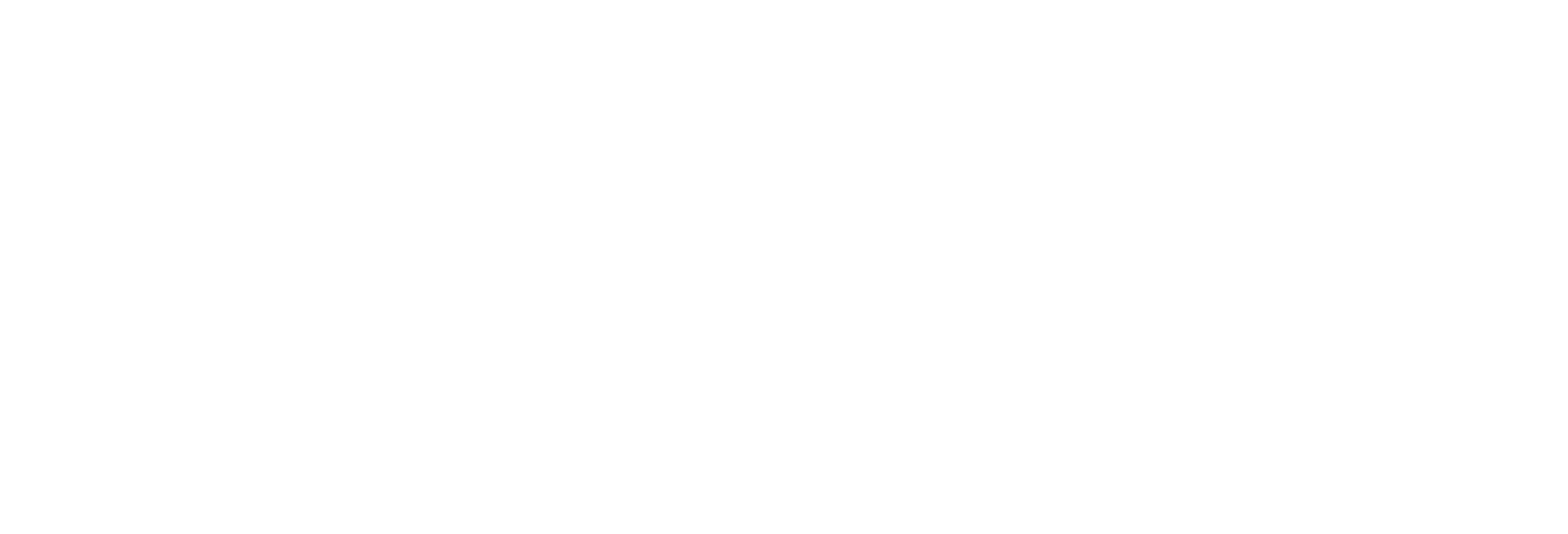 Data Worlds